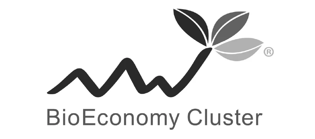 Logo BioEconomy Cluster in Grau