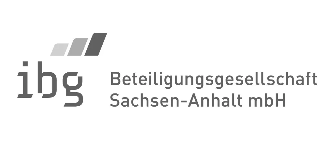 Logo ibg Beteiligungsgesellschaft Sachsen-Anhalt mbH in Grau